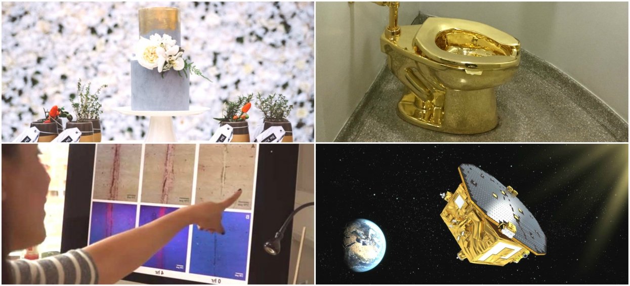 Golden to the bone: Septembers most surprising news about gold!