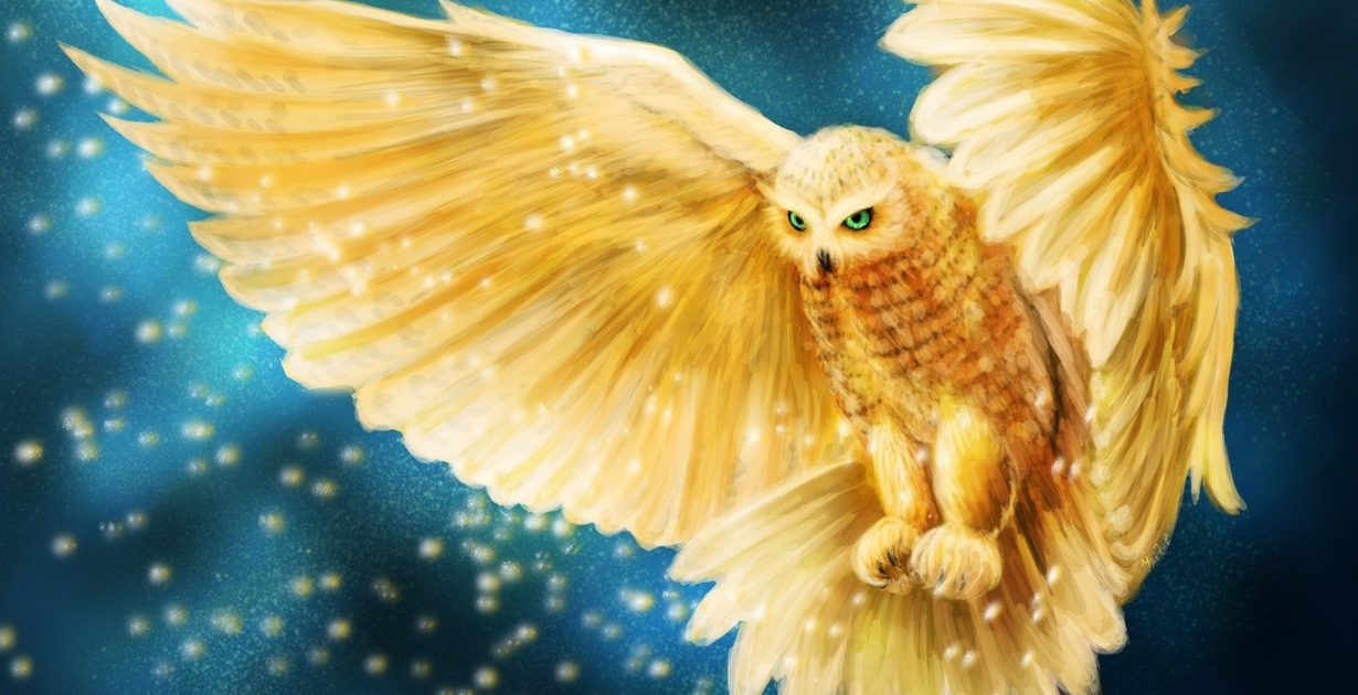 On the Trail of the Golden Owl